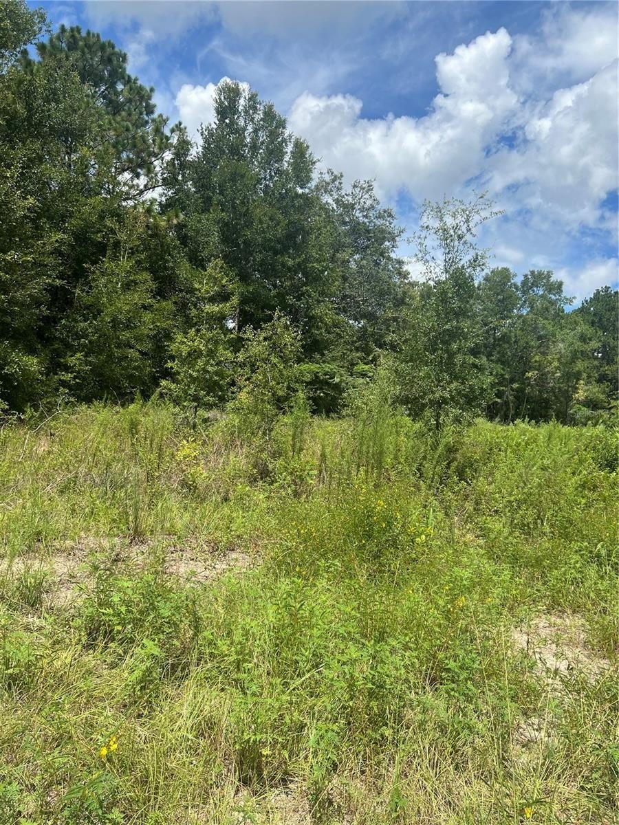 Residential Land in Summerfield, FL