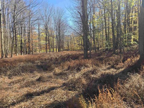 Lots/Land, Davis, WV