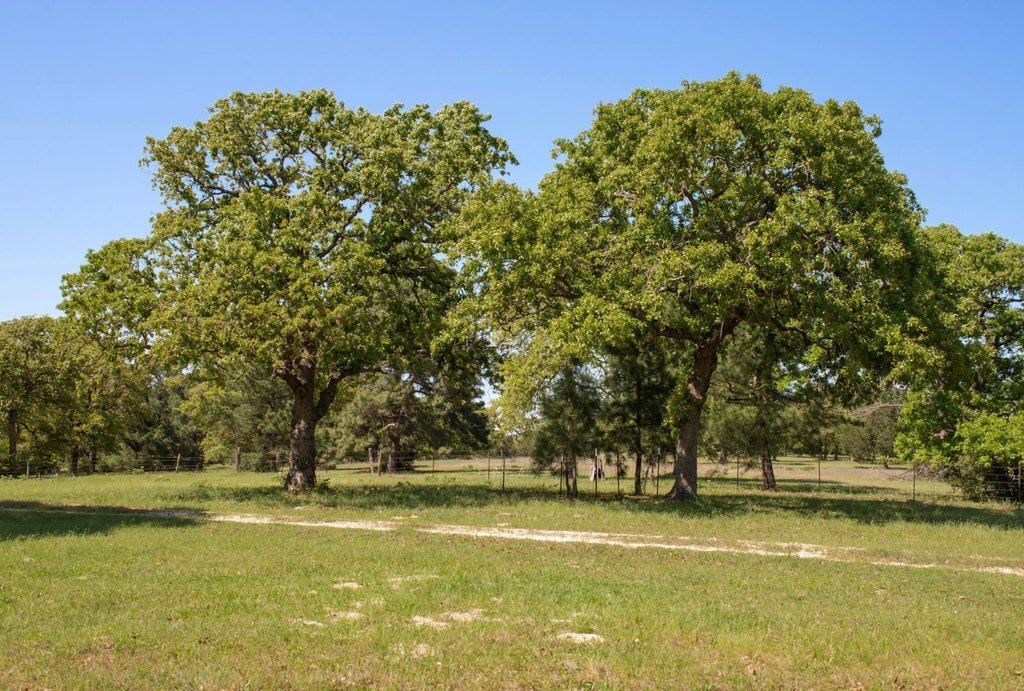 Picture 24