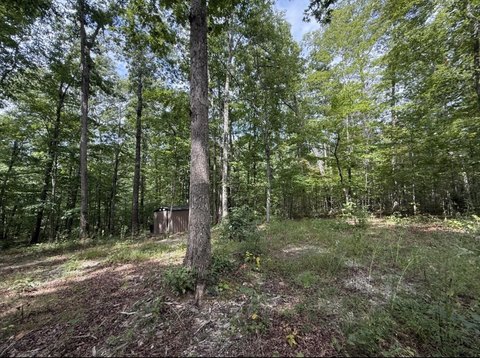 Wooded Recreation Land
