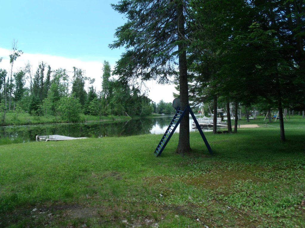 Picture 49
