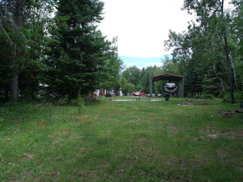Picture 8