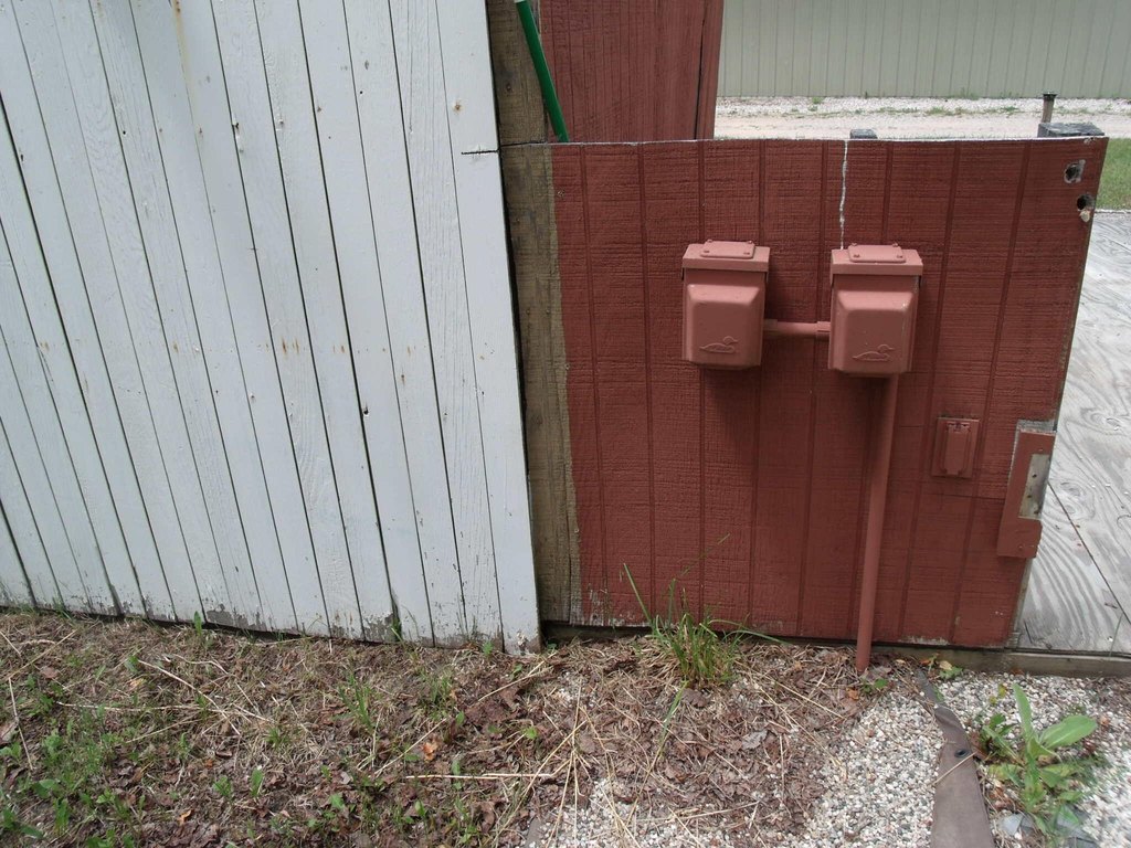 Picture 50