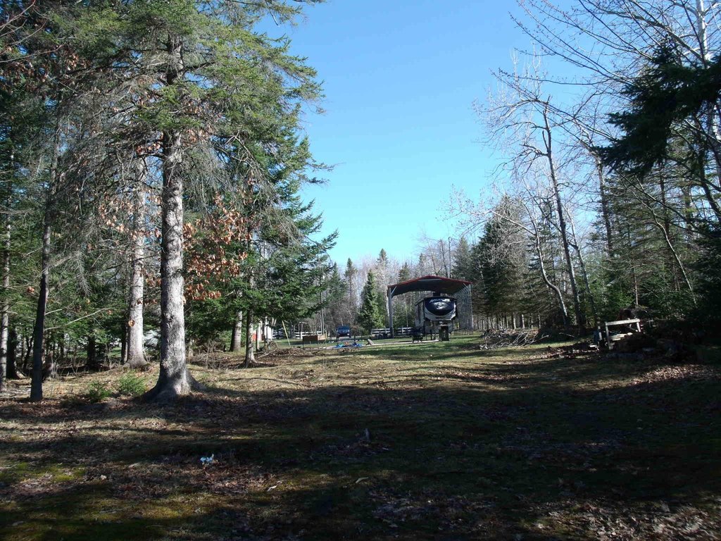 Picture 35