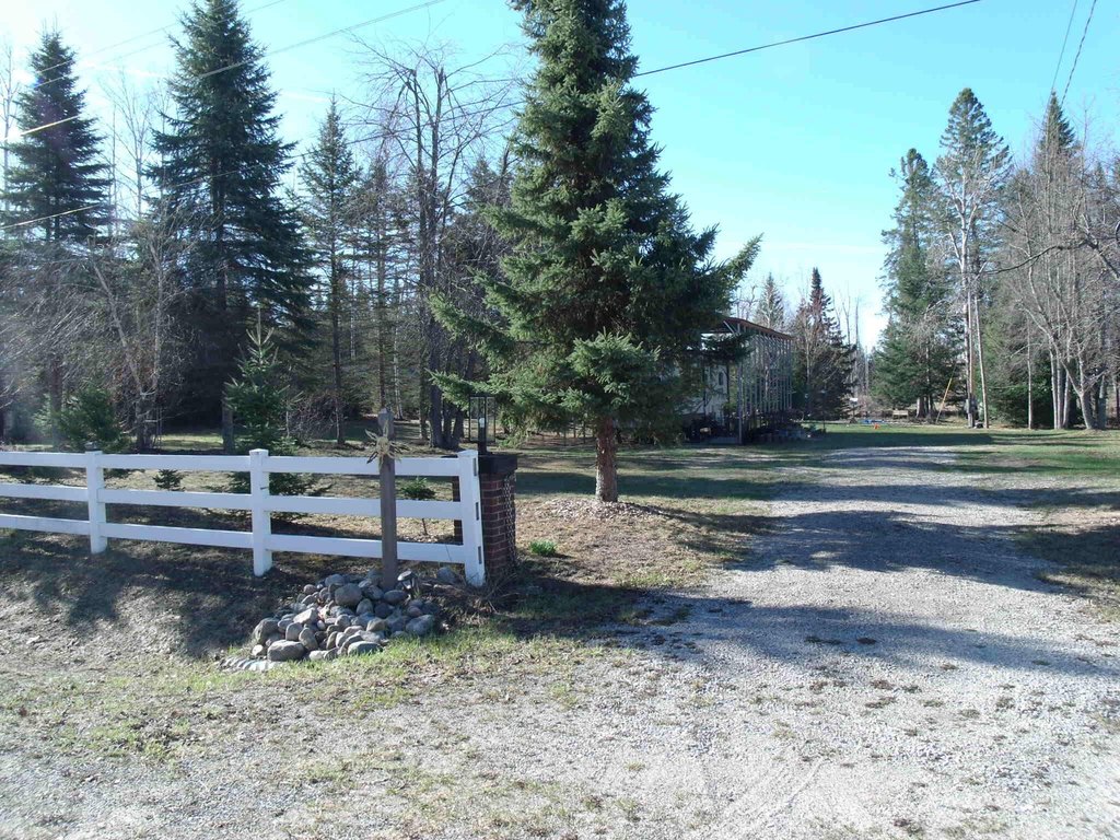 Picture 45