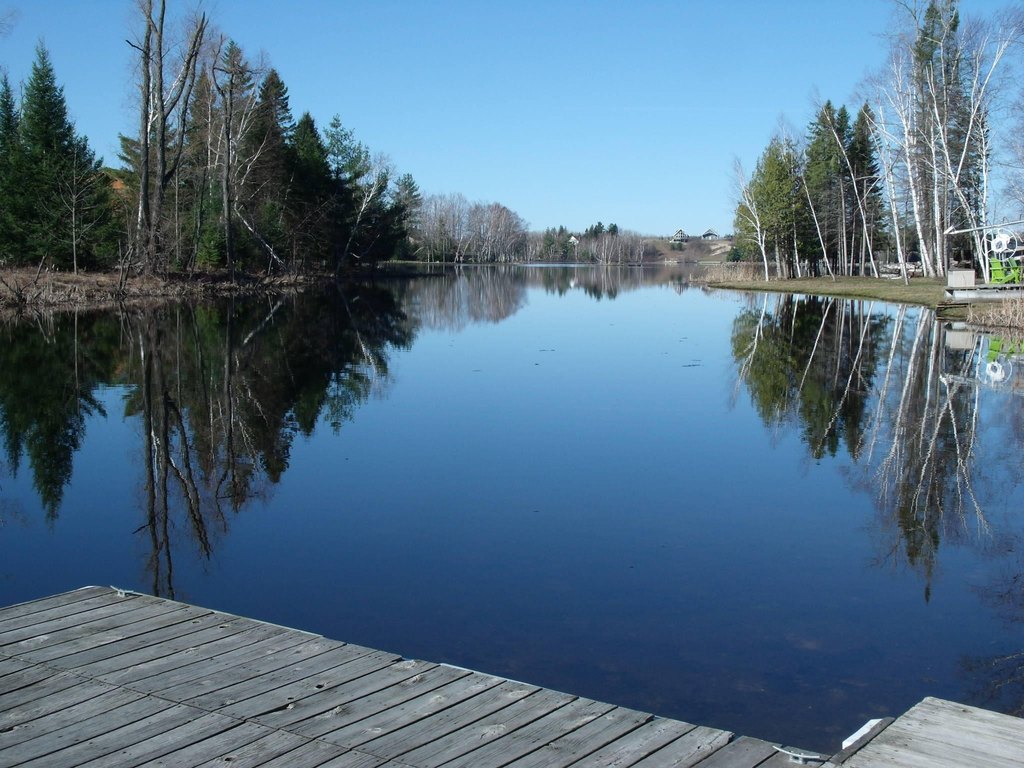 Picture 7