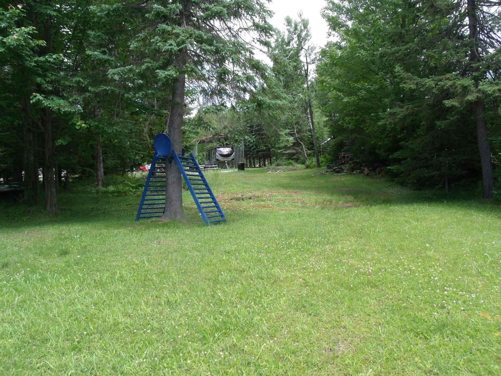 Picture 55