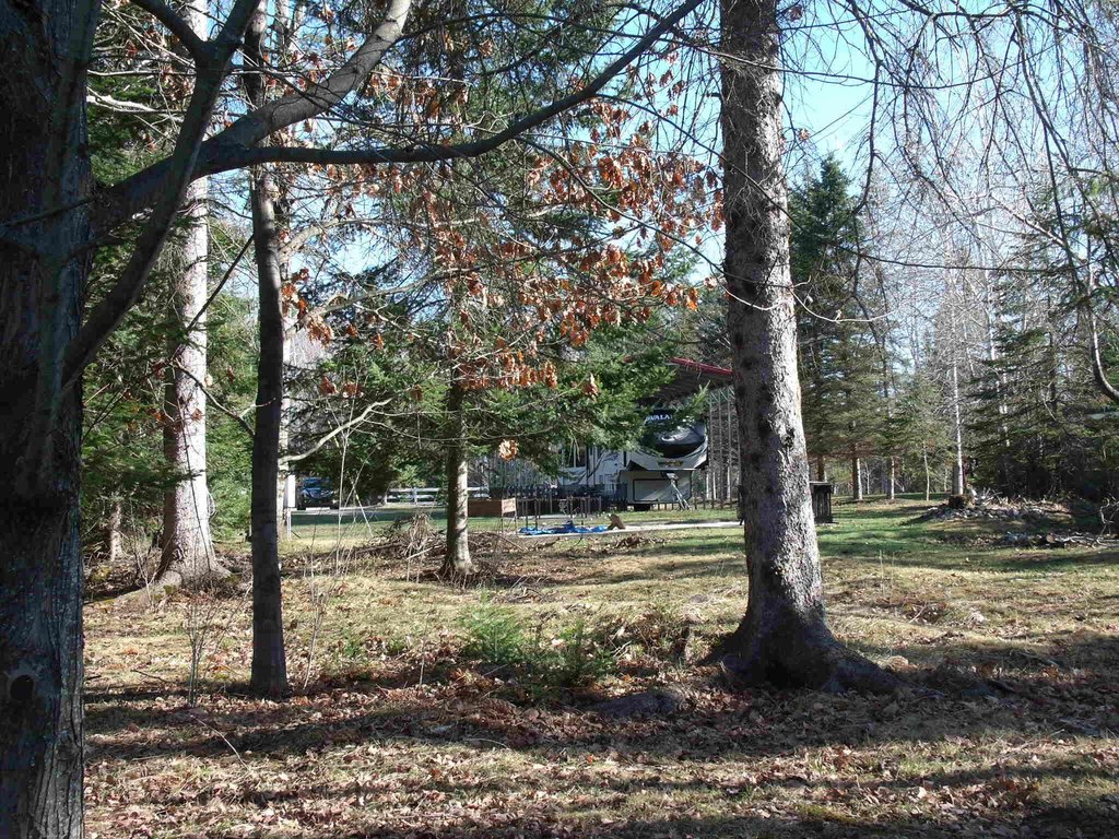 Picture 36