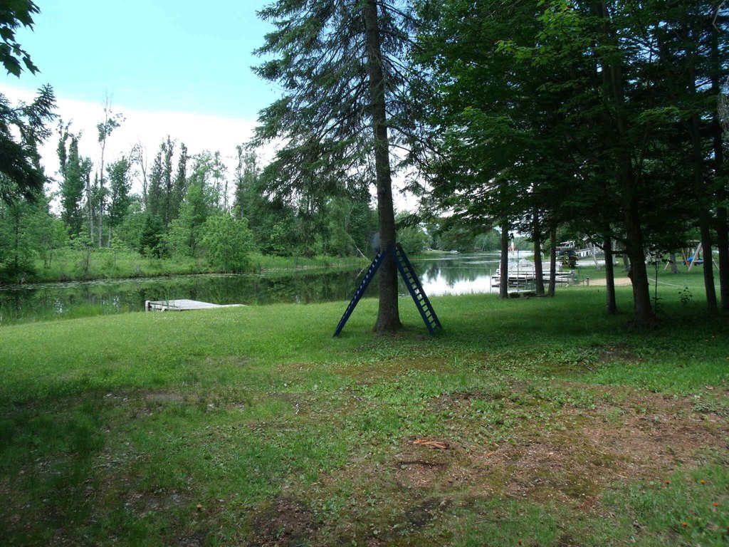 Picture 48
