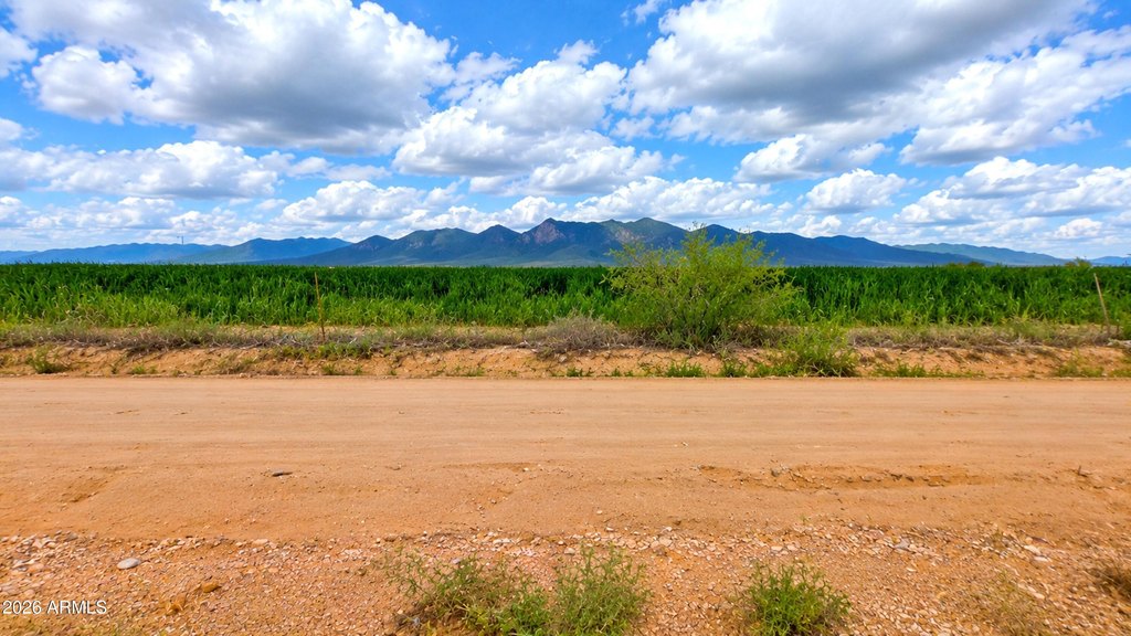 Picture 20