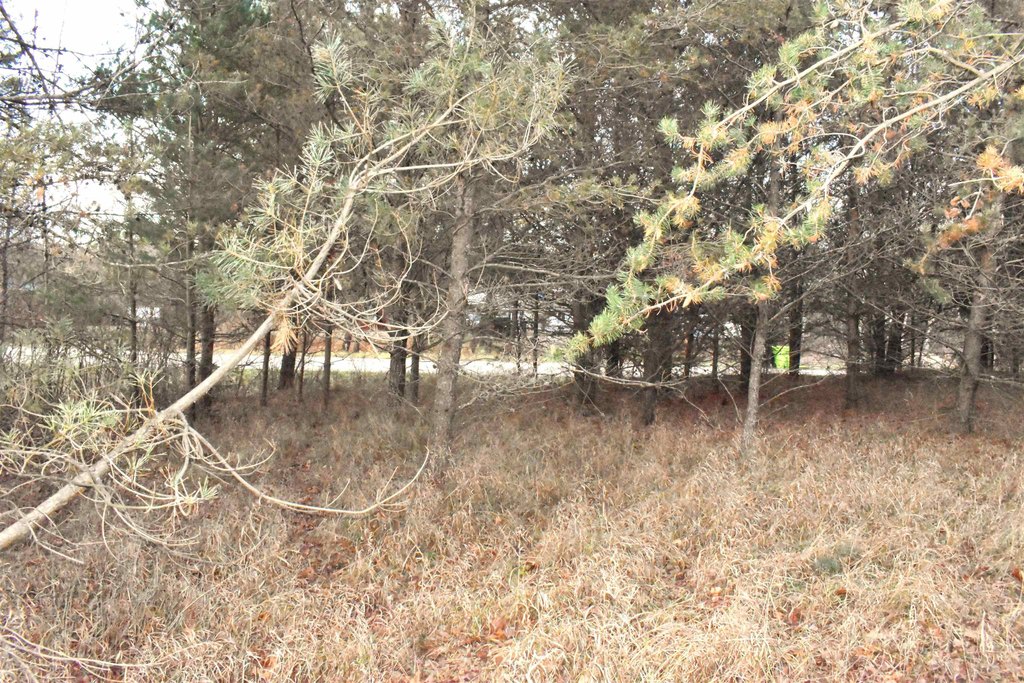 Picture 6