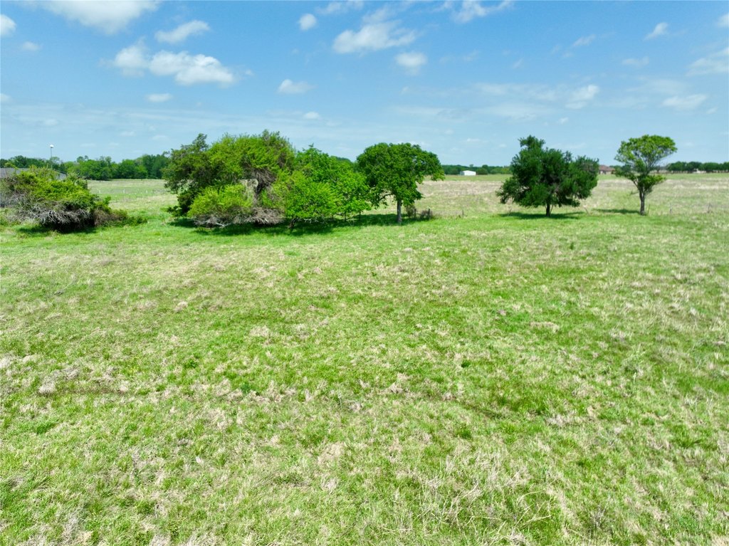Picture 10