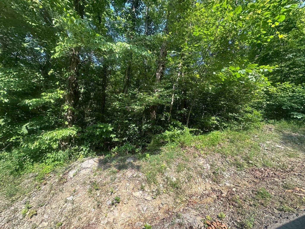 Picture 4
