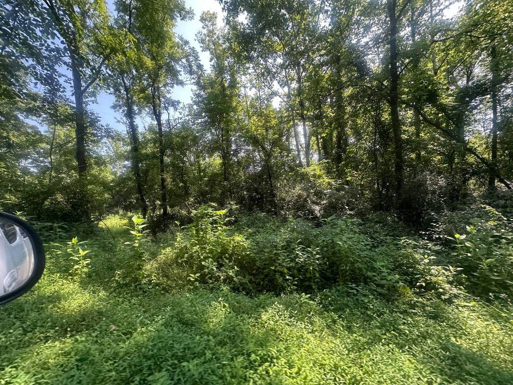 Picture 3