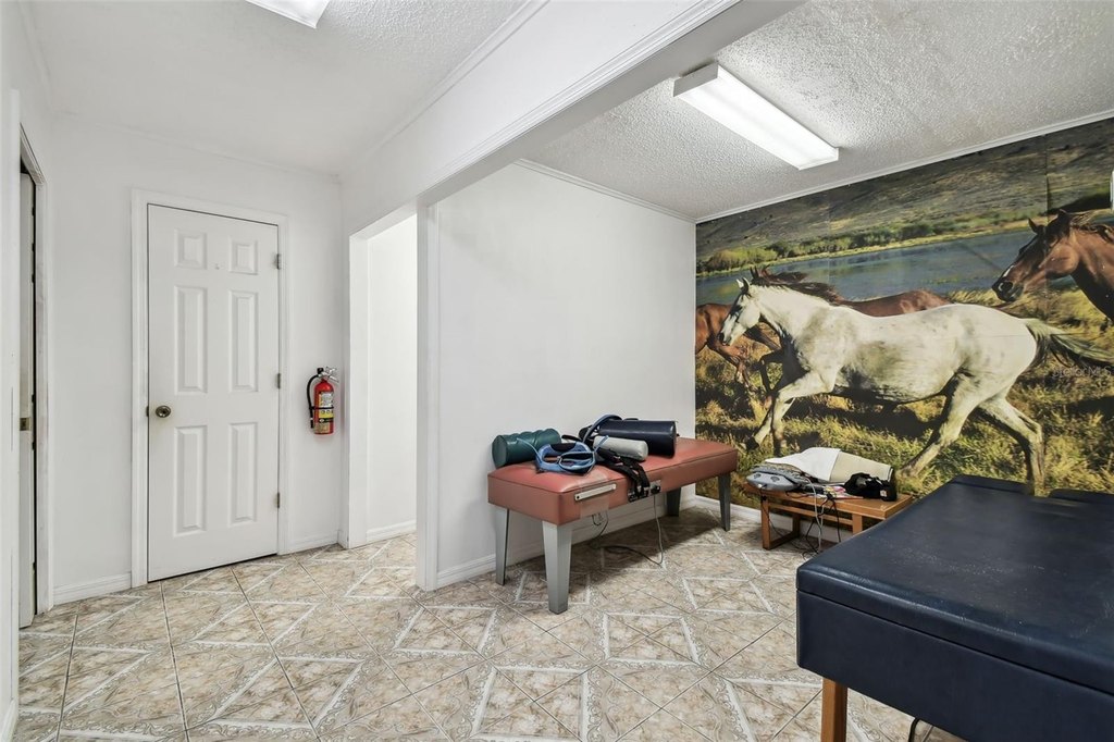 Picture 25