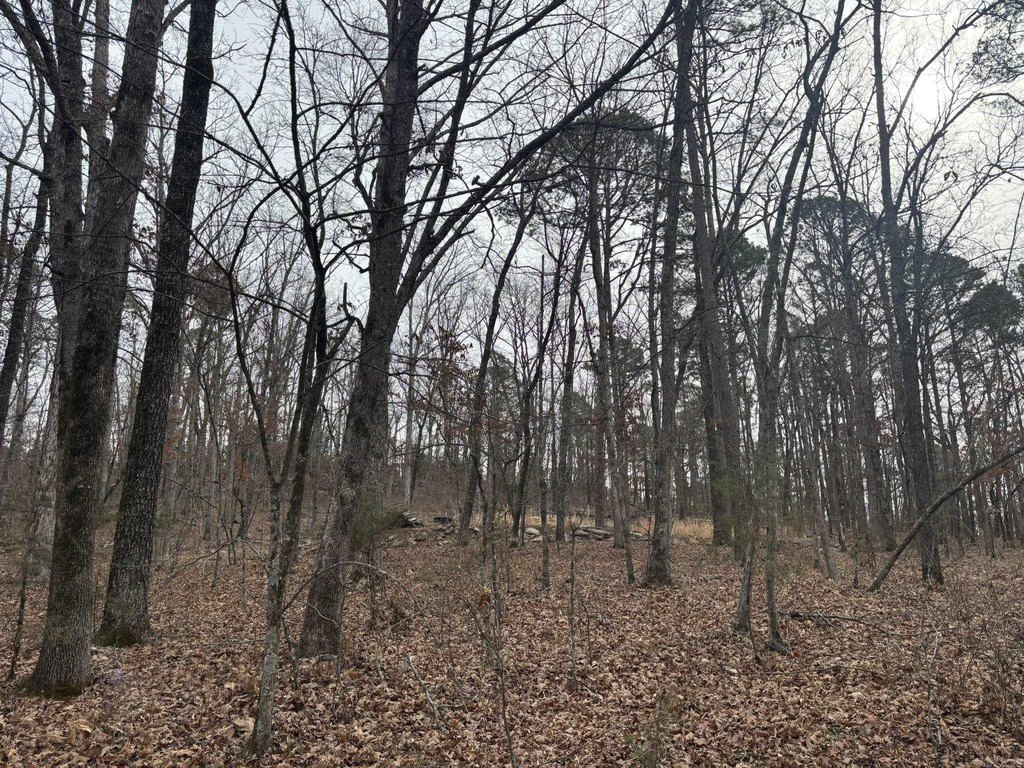 Picture 2