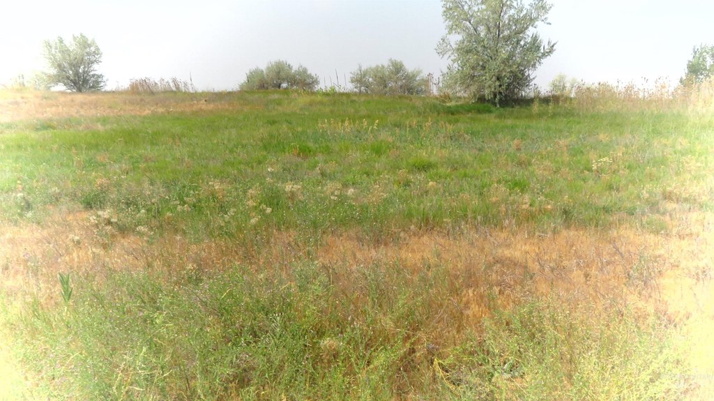 Picture 6
