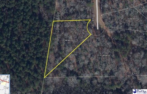 LAND - Cheraw, SC