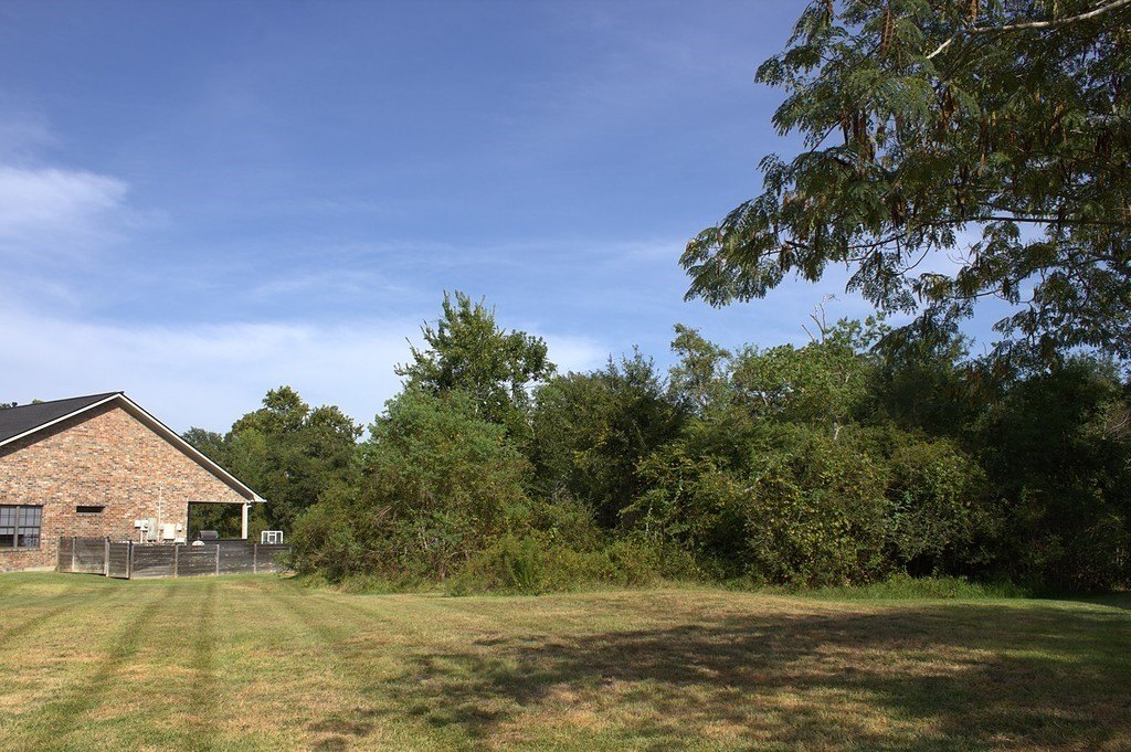 Picture 3