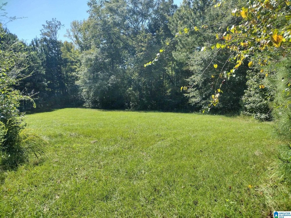 Picture 21