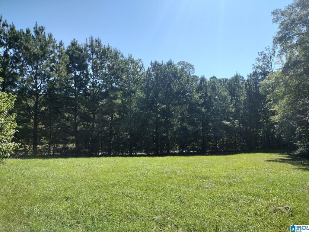 Picture 30