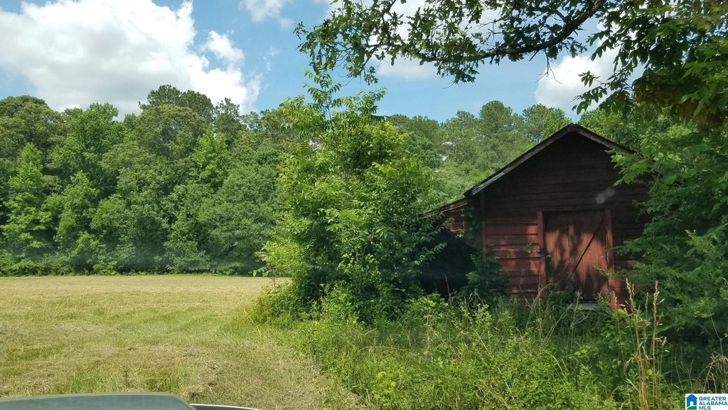 Picture 25