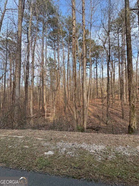 Fairburn 5-Acre Building Lot