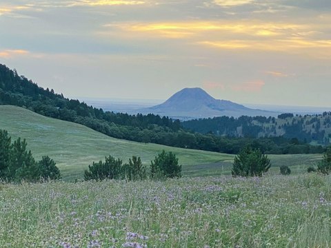 Rolling Hills Hunting and Grazing Land