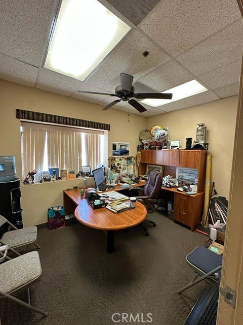 Picture 17