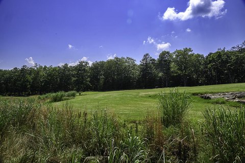 Wooded Lot Next to Fairway