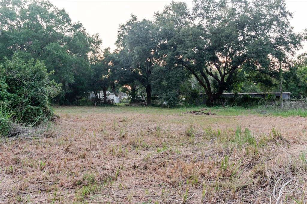 Picture 36