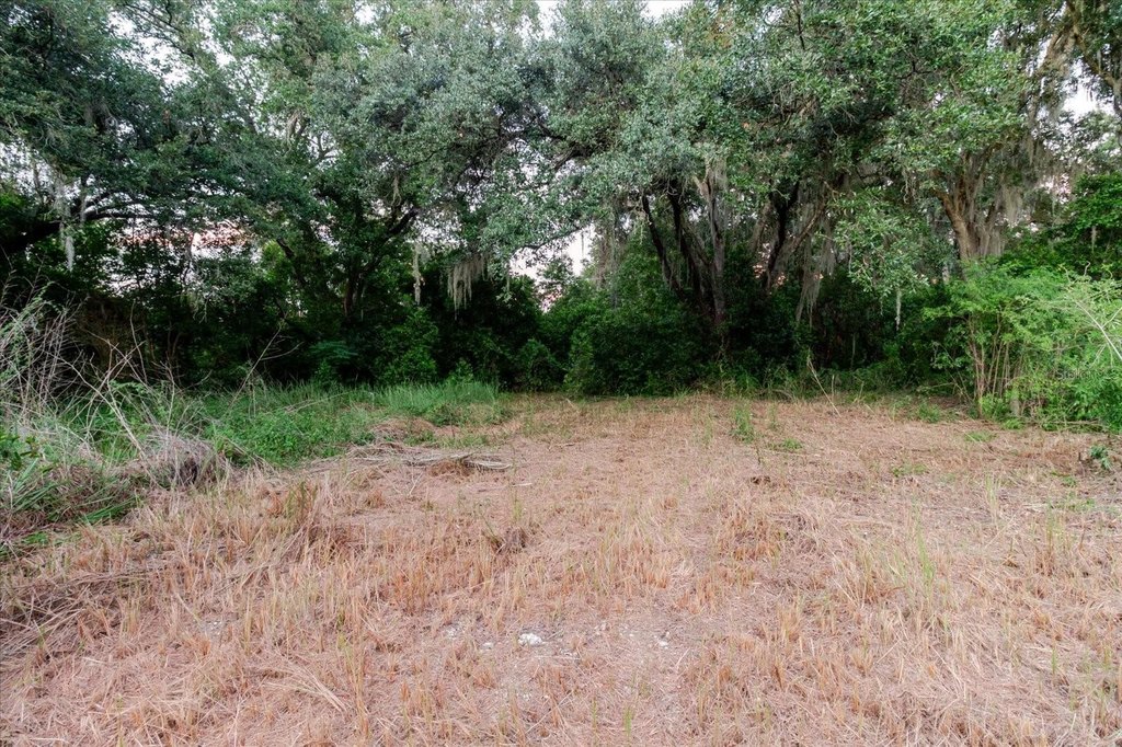 Picture 38