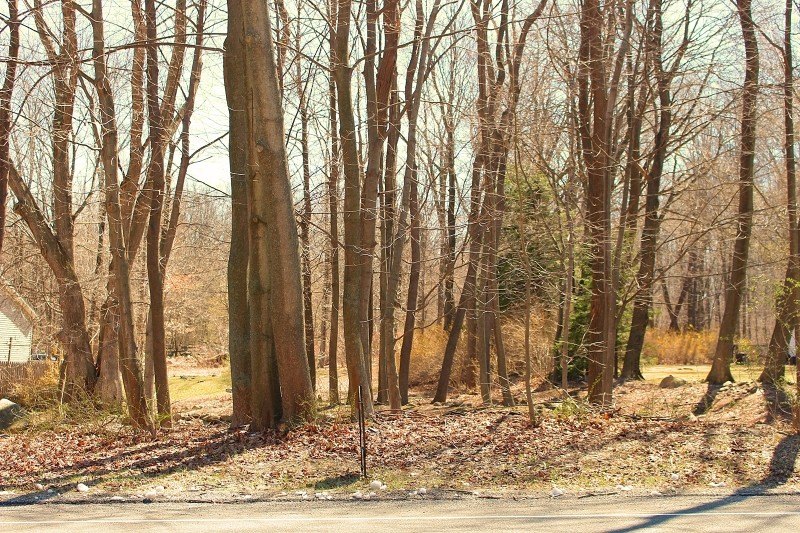 Vacant Land in Sparta Twp.