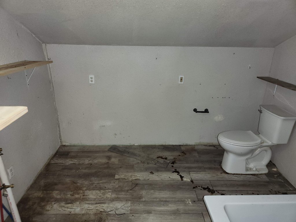 Picture 10