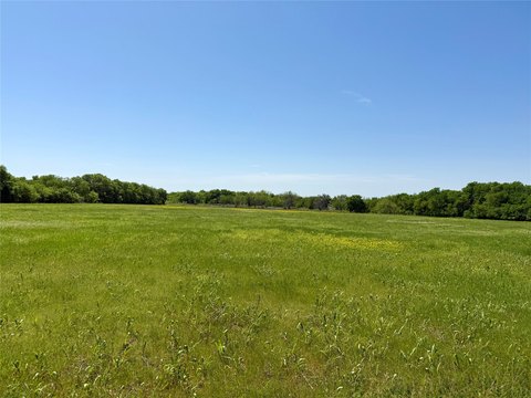 Unimproved Level Land with Pond