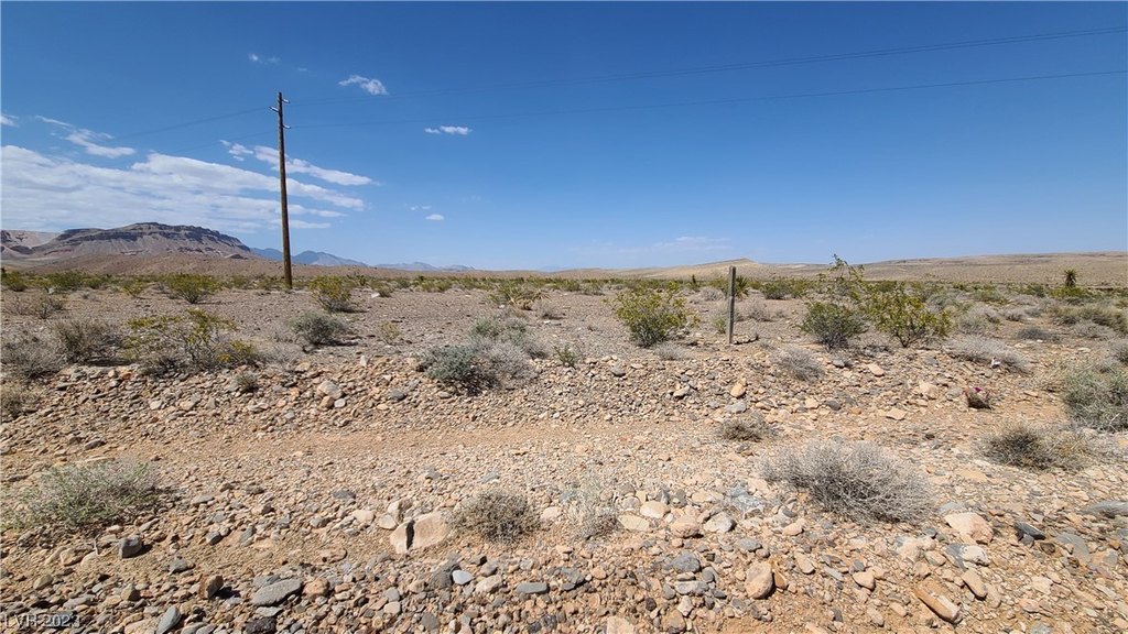 Picture 29