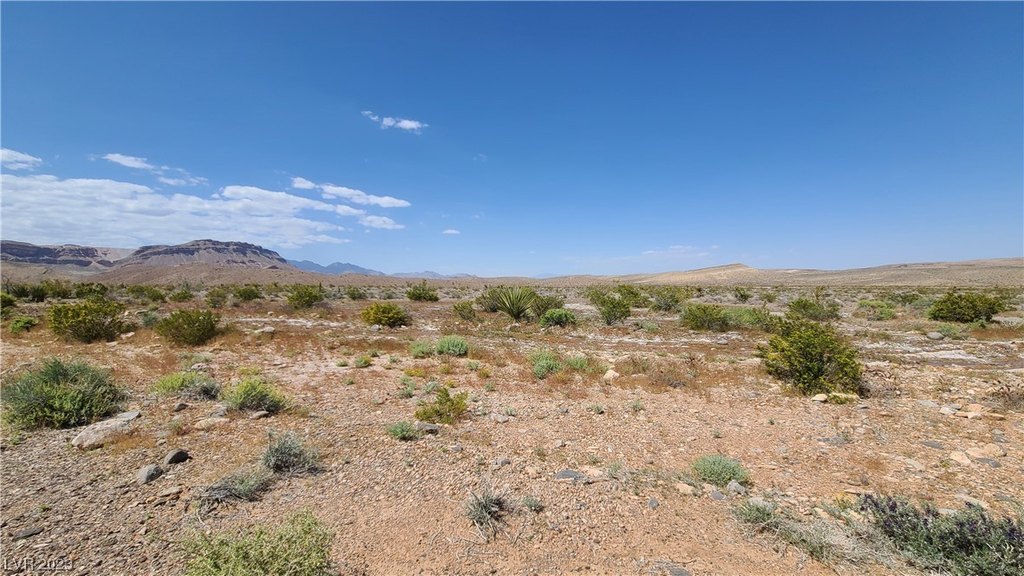 Picture 21