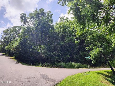 Residential Land in Bristol, TN