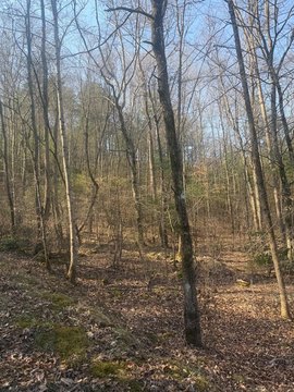 LAND - Murphy, NC