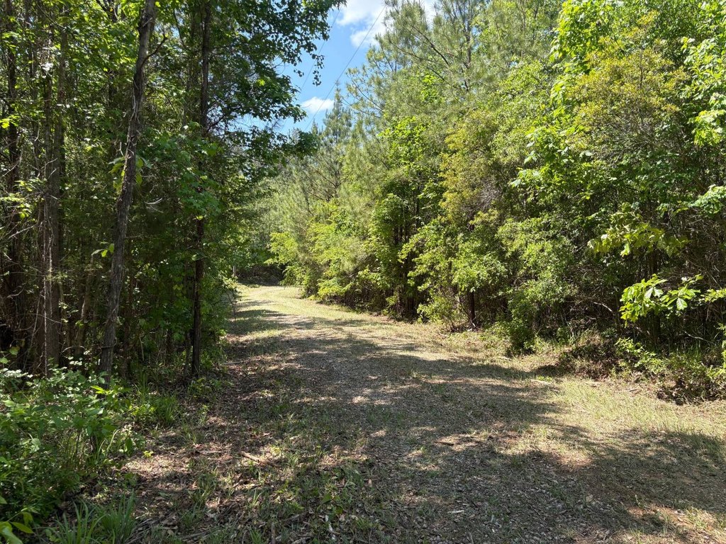 Picture 9