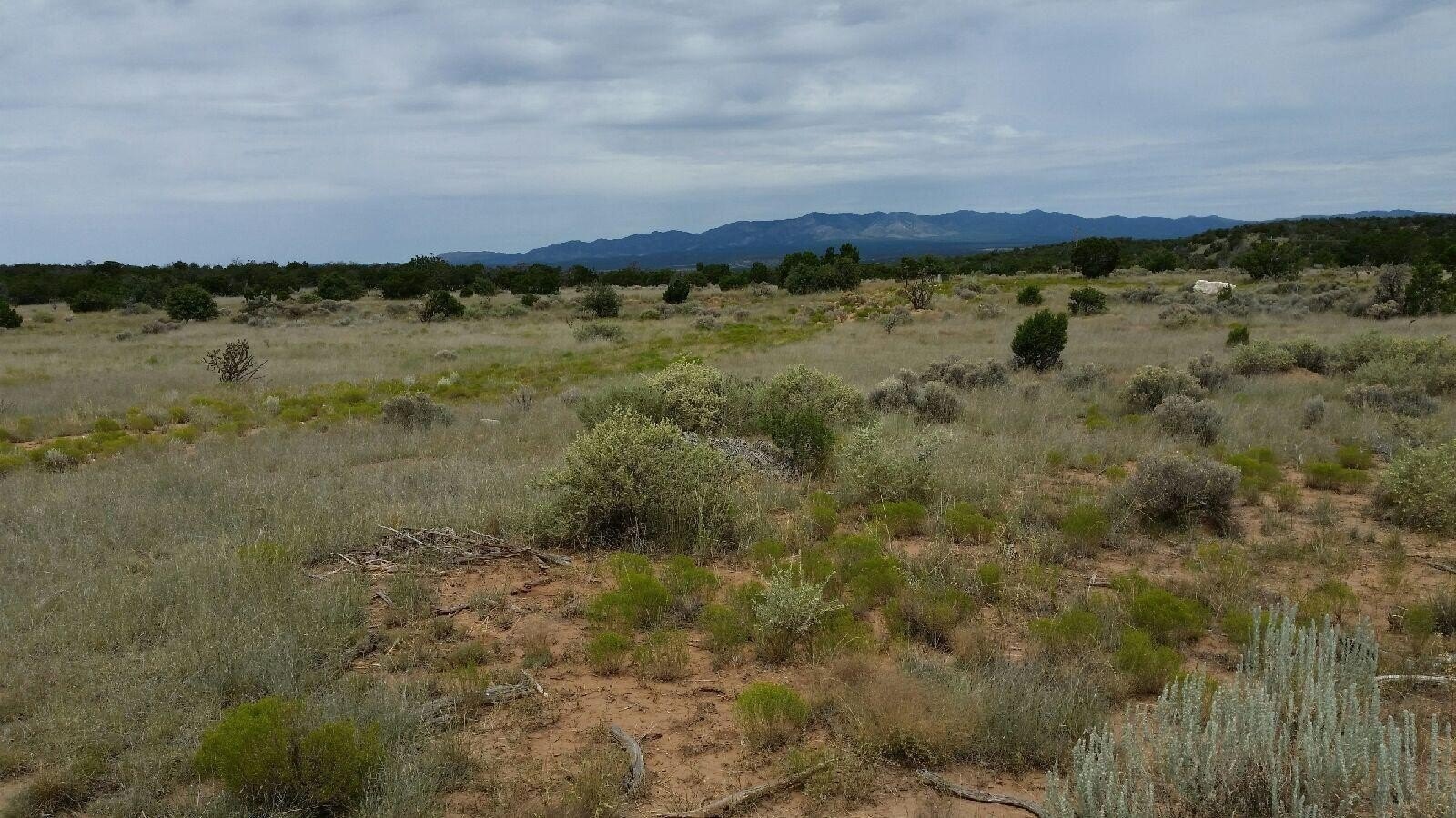 20 Acres in Deer Canyon
