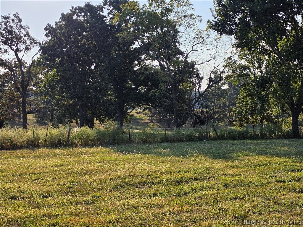 Picture 3