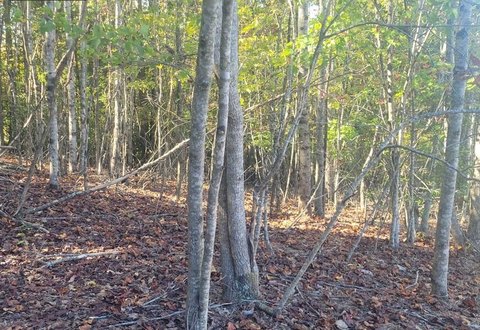 Vacant Lot, Hayesville, NC