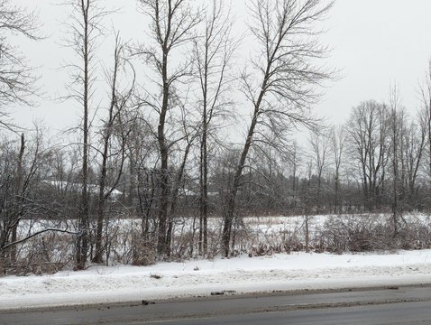 Plattsburgh Land For Sale