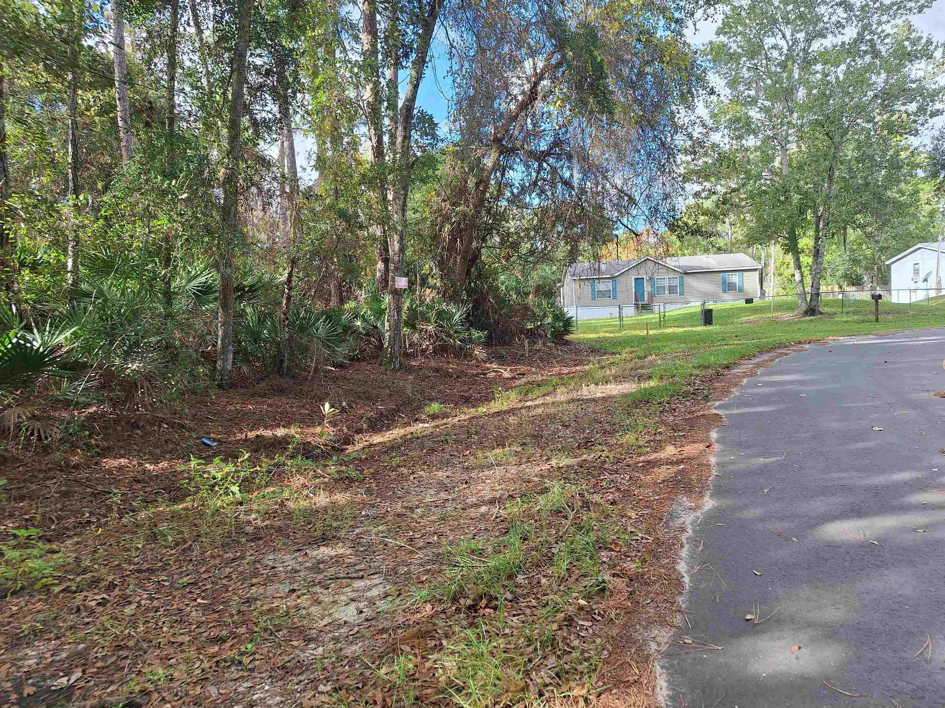 Satsuma Land Near Dunn Creek