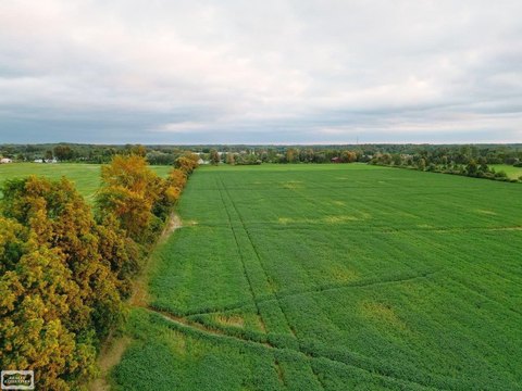 VACANT LAND, Riley, MI