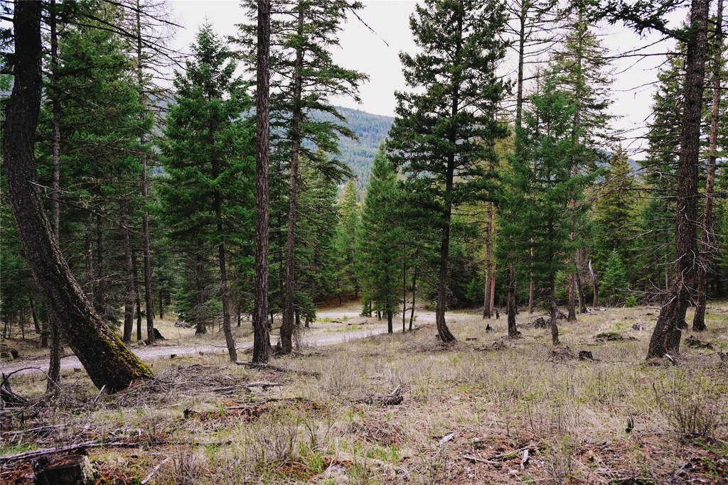 Picture 19