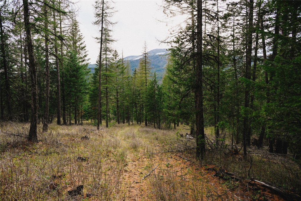 Picture 24