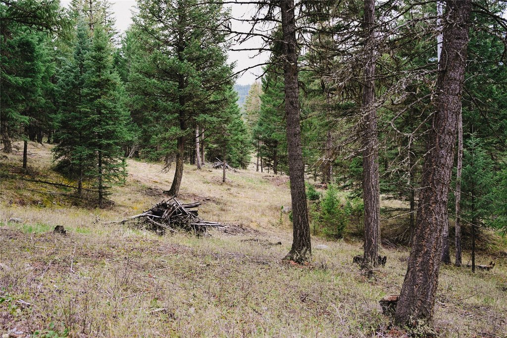 Picture 20