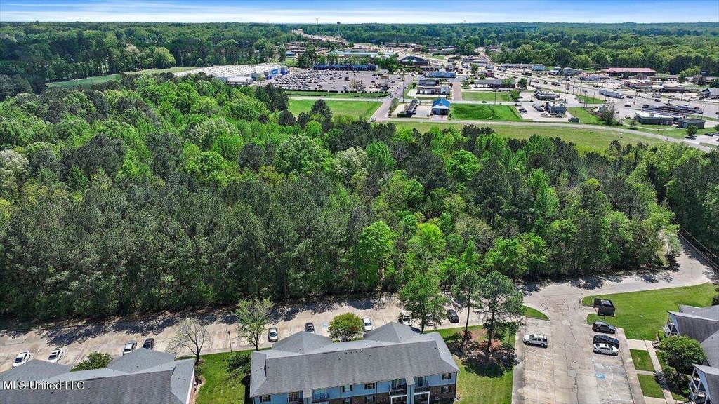 Picture 37
